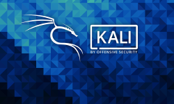 Featured image of post Hydra在线密码爆破工具详解