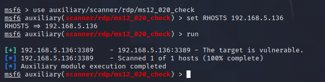 检测漏洞是否存在